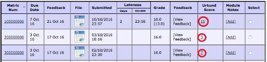 Example off the Assignment Overview table with the Turnitin link circled